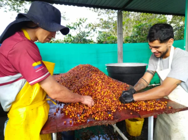 Finca La Villa - Imagen 4